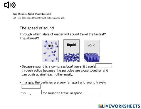 DIS Science Term 3 Week 8 lesson 2