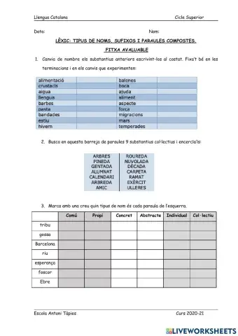 Avaluable: tipus de noms