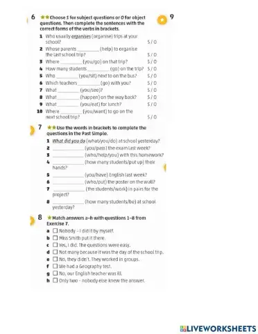 PAST SIMPLE QUESTIONS 