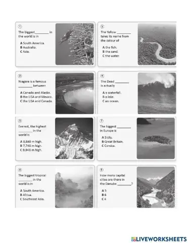 Vocabulary Unit 8 Focus 1