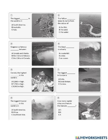 Vocabulary Unit 8 Focus 1