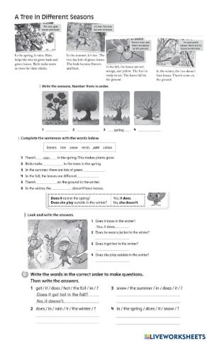 A tree in different seasons