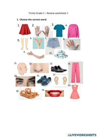 Trinity Level 1 Practice