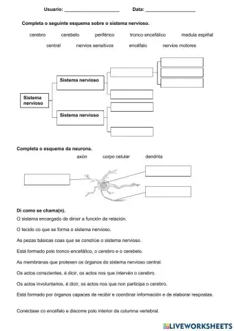 A función de relación 2. O sistema nervioso