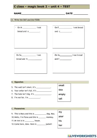 C class unit 4 revision test