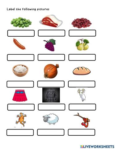 Vocabulary- Likes and Dislikes
