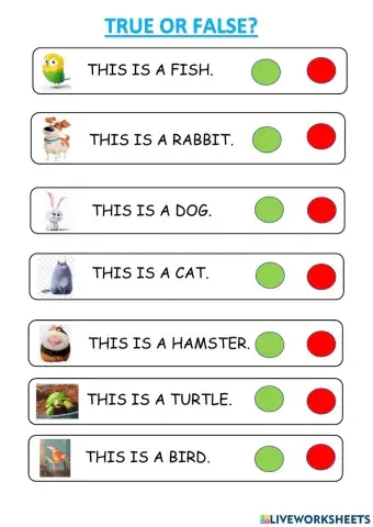 True or False