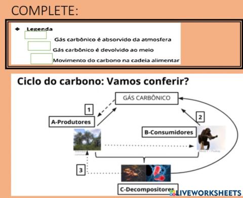 Biologia-ciclo do carbono
