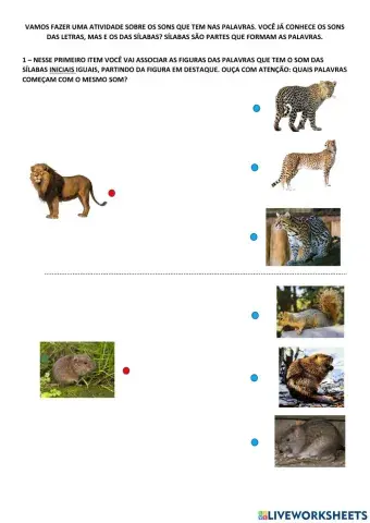 Silaba inicial e final