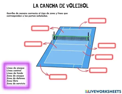Cancha de voleibol