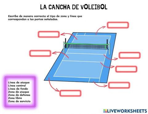 Cancha de voleibol