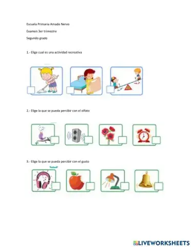 Conocimiento del medio