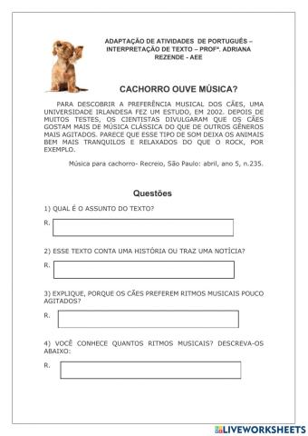 Interpretação de textos