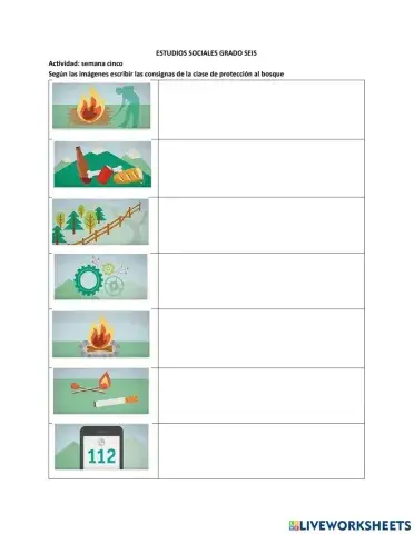 Proteccion de bosuqes