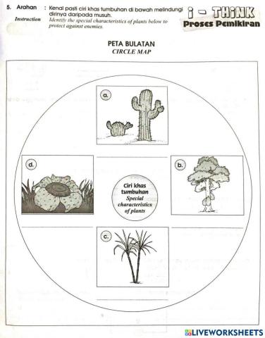 Unit 4 Tumbuhan Tahun5