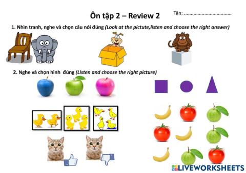 Vietnamese Friday - Review 2