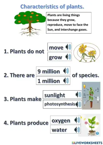 Characteristics of plants