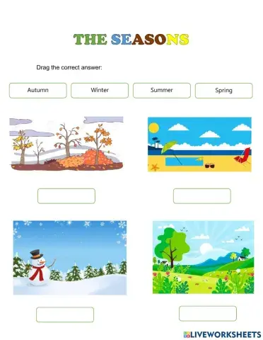 The seasons