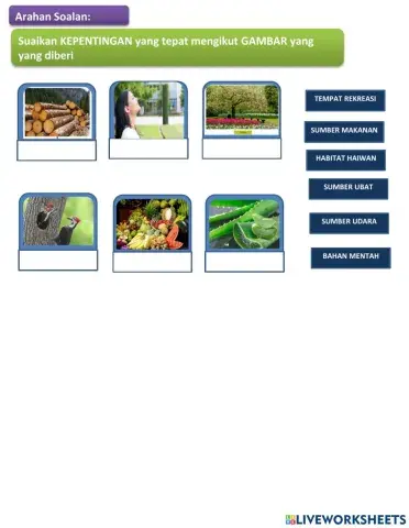 Kepentingan tumbuhan tahun 3