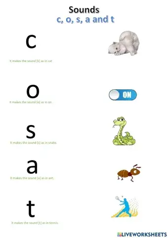 Sounds: c, o, s, a, and t