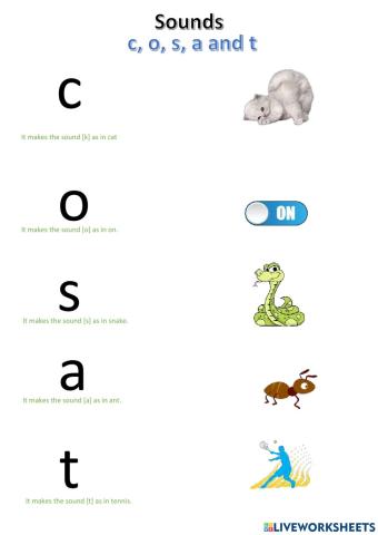 Sounds: c, o, s, a, and t