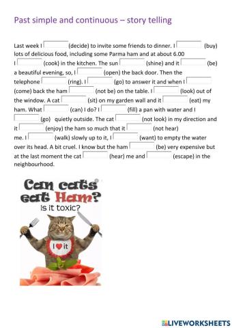 Past simple and past continuous - storytelling