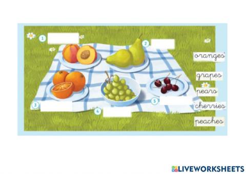 At the picnic-food-2