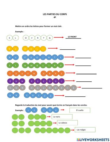 Les parties du corps