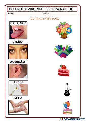 Os sentidos