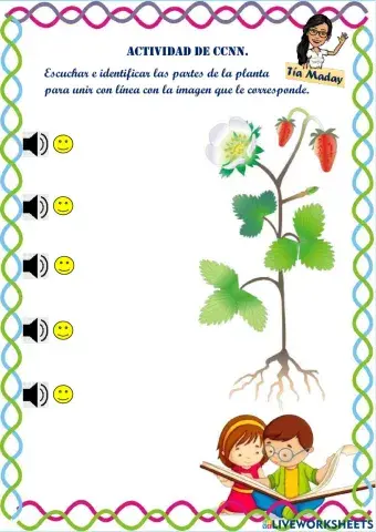 Las partes de una planta