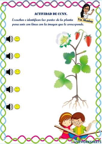 Las partes de una planta