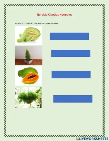 Ejercicio de Ciencias Naturales