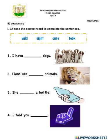 Quiz 3 Vocabulary