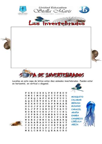 LOS INVERTEBRADOS