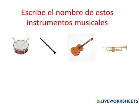 ACTIVIDADES INSTRUMENTOS