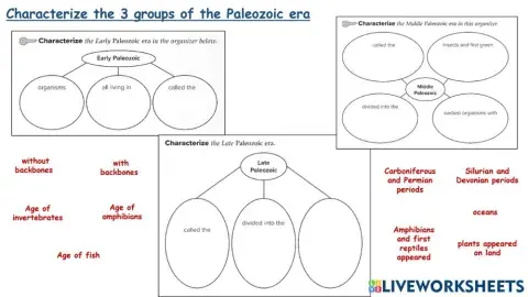 Characteristics of the 3 groups of the Paleozoic era