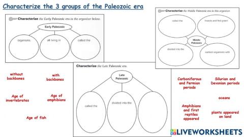 Characteristics of the 3 groups of the Paleozoic era