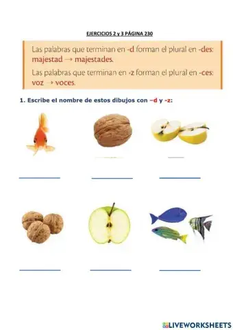 Palabras terminadas en -d y -z