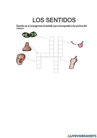 Los sentidos