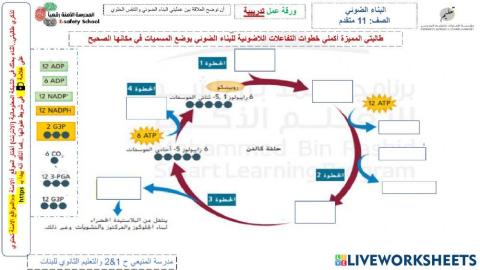 التفاعلات اللاضوئية