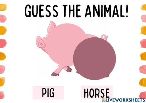 Guess the animal!!