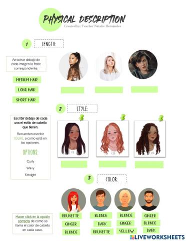 Physical Description