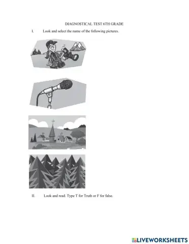 Diagnostic test 6th grade