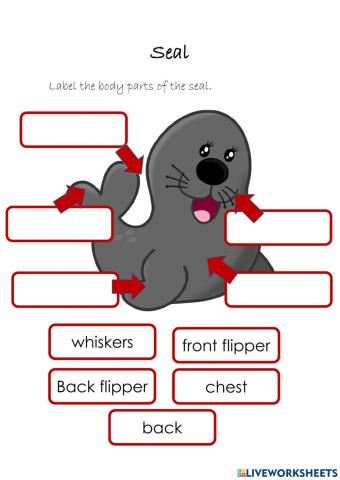Seal body parts