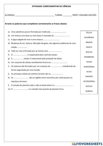 Revisão pet 1 - 7º ano 2021