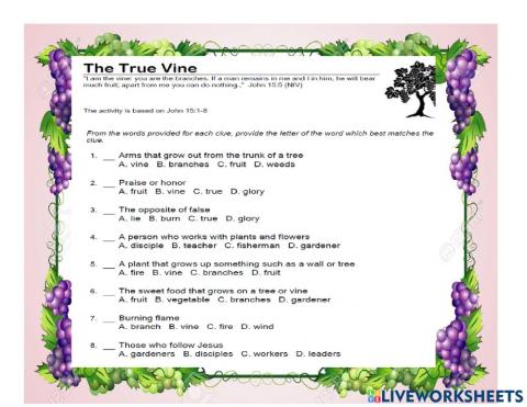 Jesus is the vine