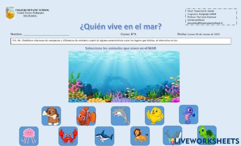 Animales que viven en el mar