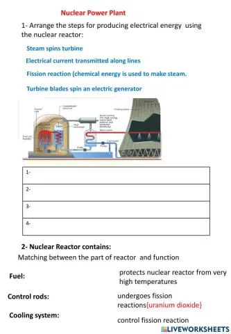 Nuclear reactor