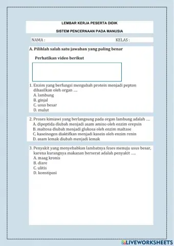 LKPD Sistem Pencernaan Makanan