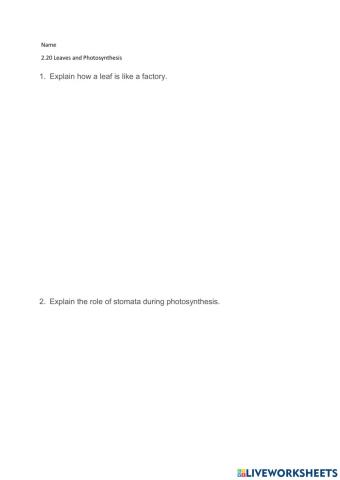 2.20 Leaves and Photosynthesis